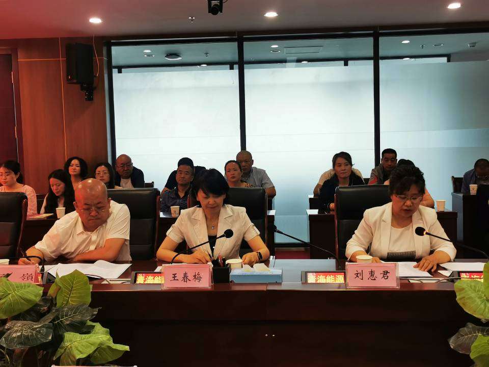 集團(tuán)公司領(lǐng)導(dǎo)班子述職  程彩琳攝.jpg